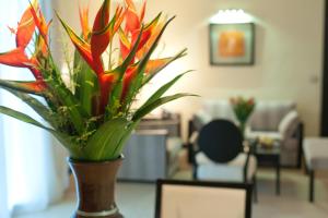 grand lancaster brazzaville