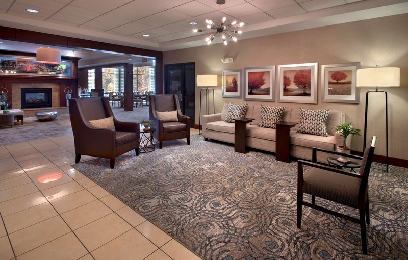 hilton garden inn albany medical center