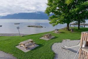 hotel bon rivage restaurant lolivier