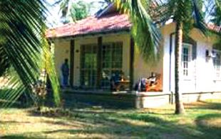 The Tamarind Tree Hotel – Katunayake,In Seeduwa - Katunayake,3 star