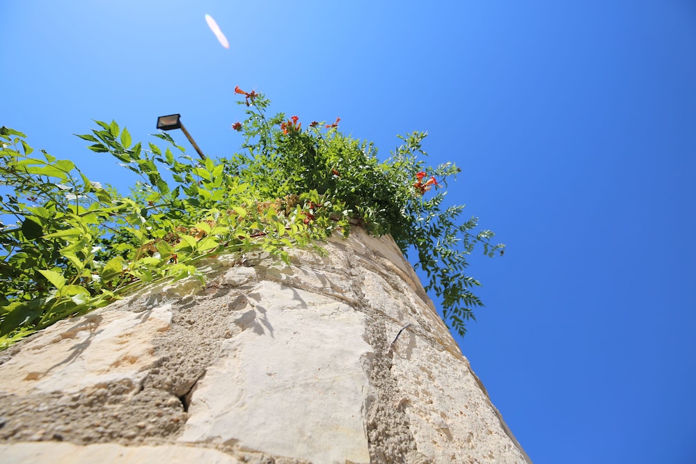 green house apart hotel