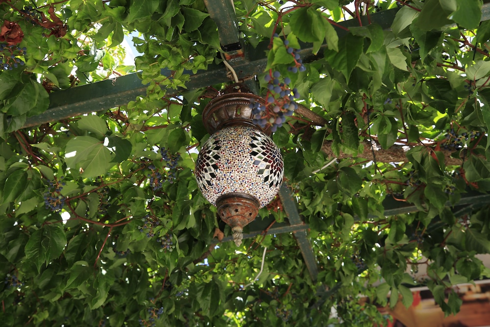 green house apart hotel