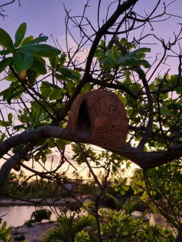 grimms pousada de contos