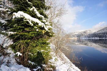 clausthal zellerfeld