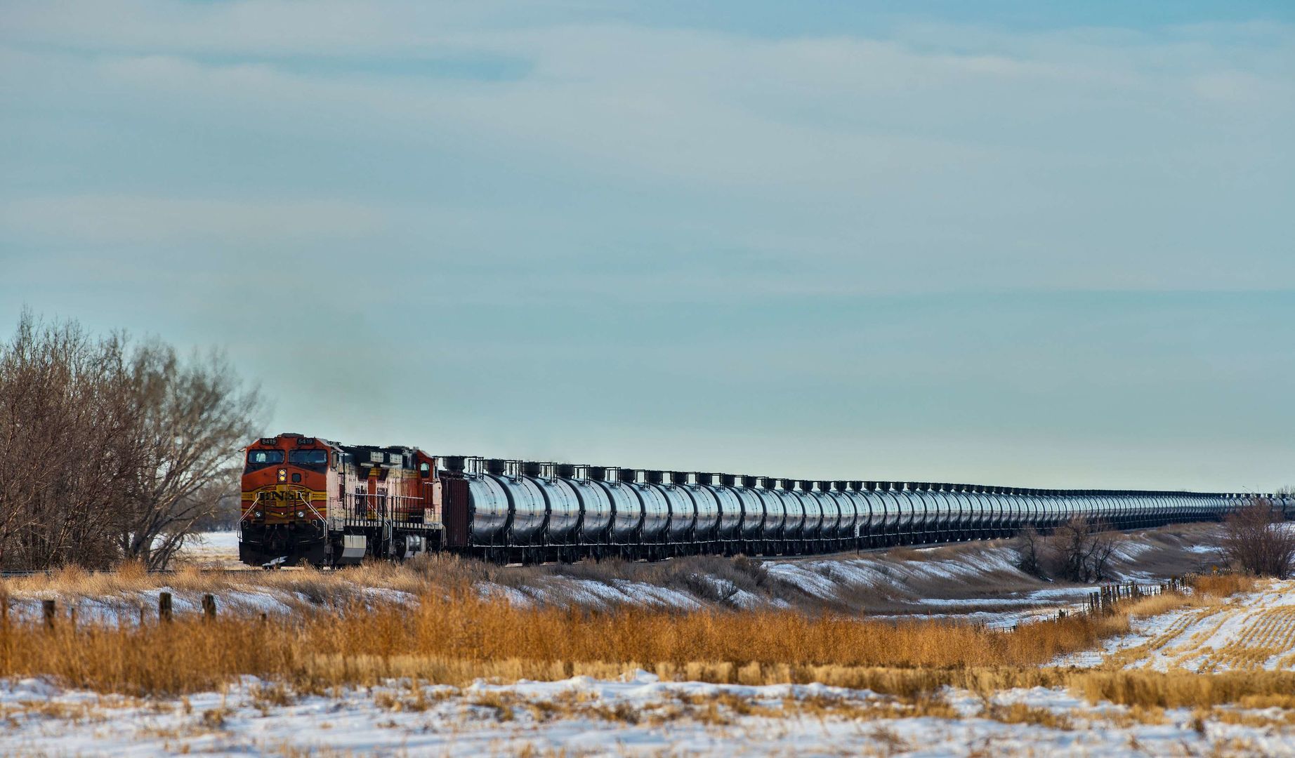 williston
