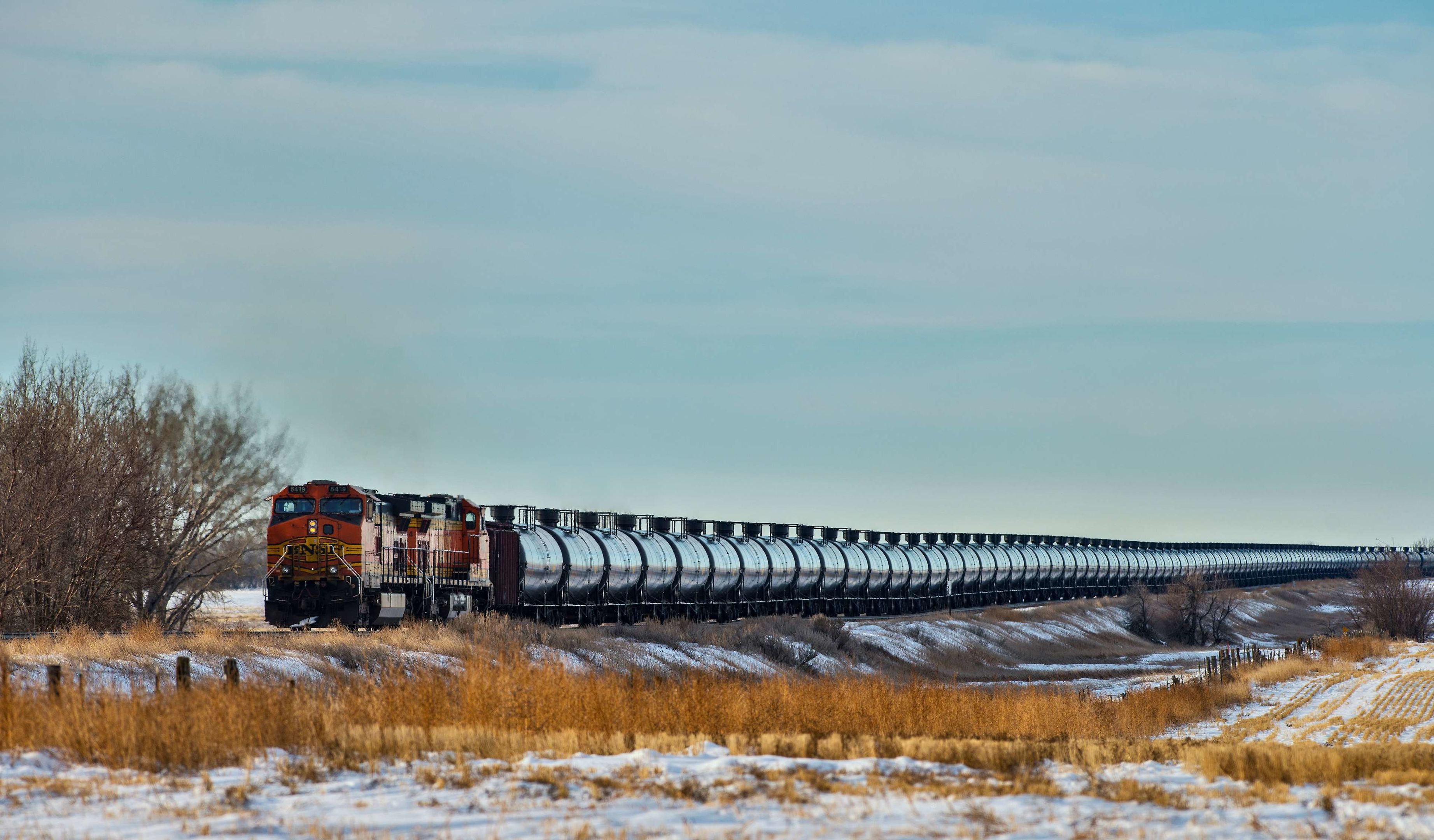 williston