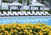 the westin hilton head island resort and spa