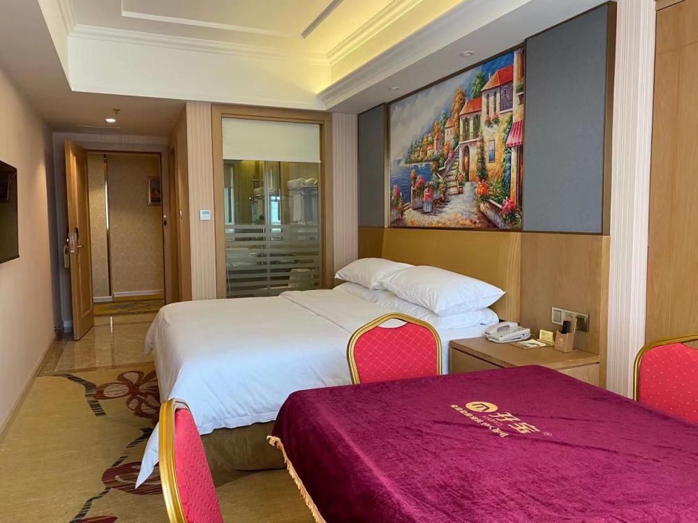vienna hotel guangzhou baiyun airport huadu avenue