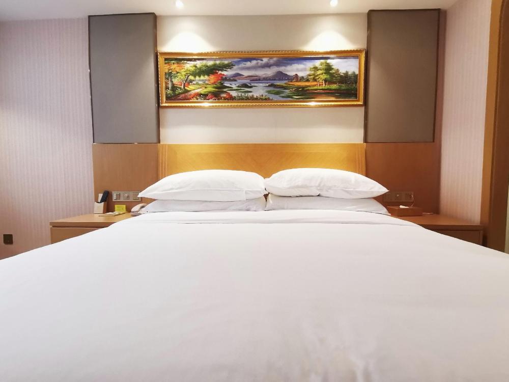vienna hotel guangzhou baiyun airport huadu avenue