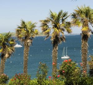 residence pierre and vacances larchipel
