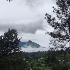 vythiri