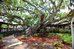 legacy vacation resorts palm coast