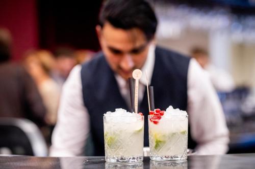 ibis brussels centre chatelain