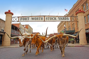 holiday inn express hotel and suites fort worth i 20 by ihg