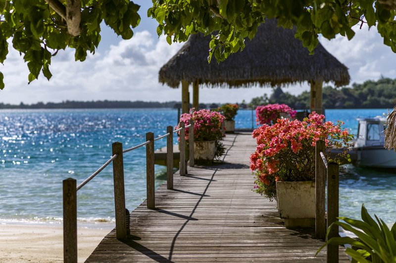 intercontinental le moana resort bora bora an ihg hotel