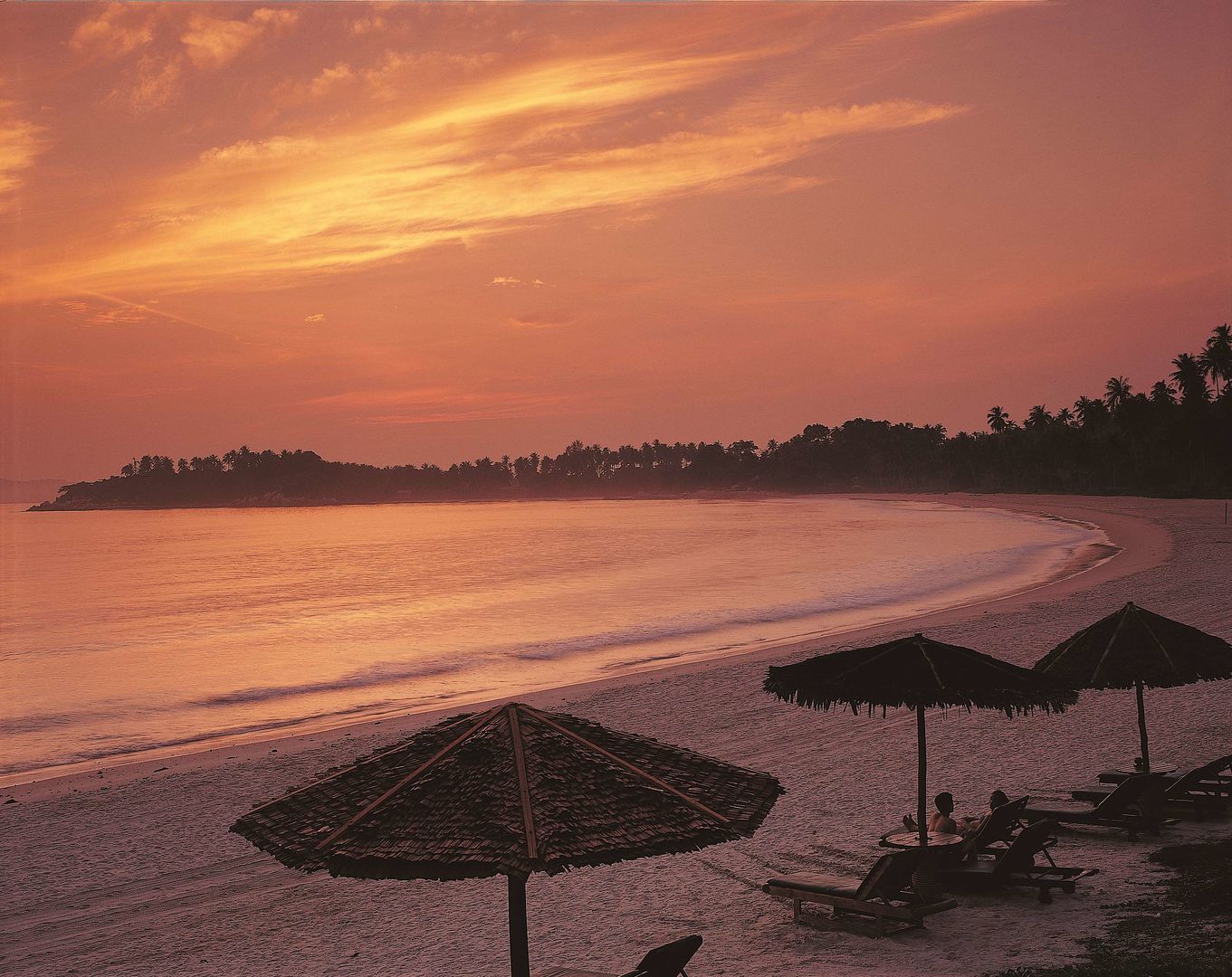 angsana bintan
