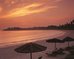 angsana bintan