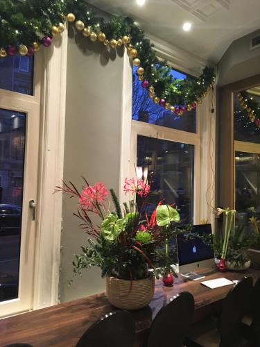 Apple Inn Hotel,Oud-Zuid>>Amsterdam,3 star