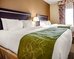 comfort suites louisville east