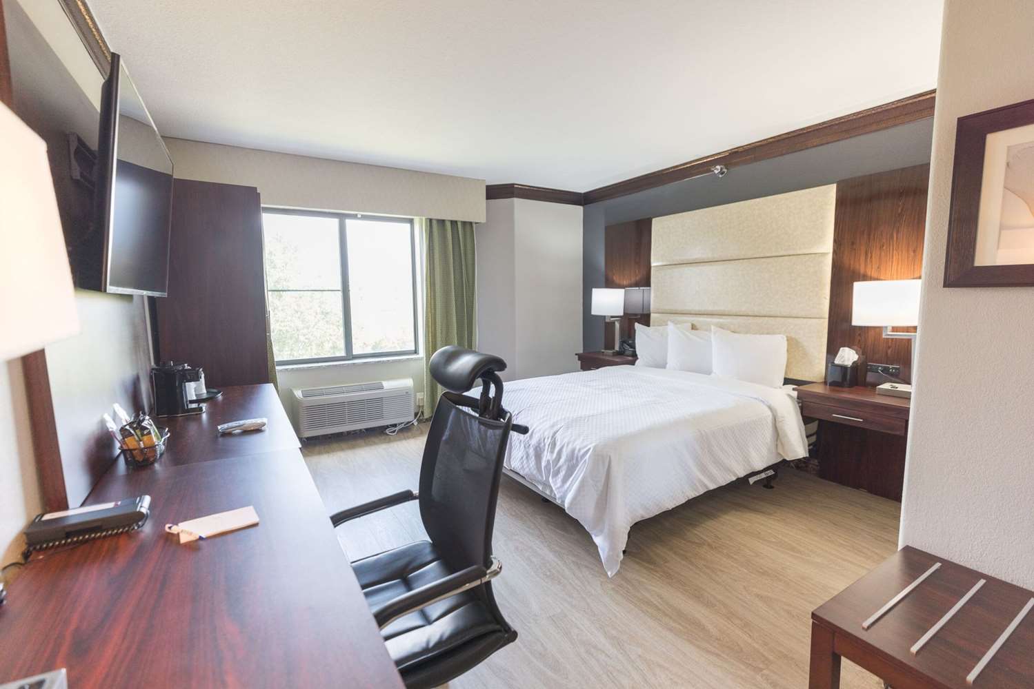 the leo collection detroit ascend hotel collection