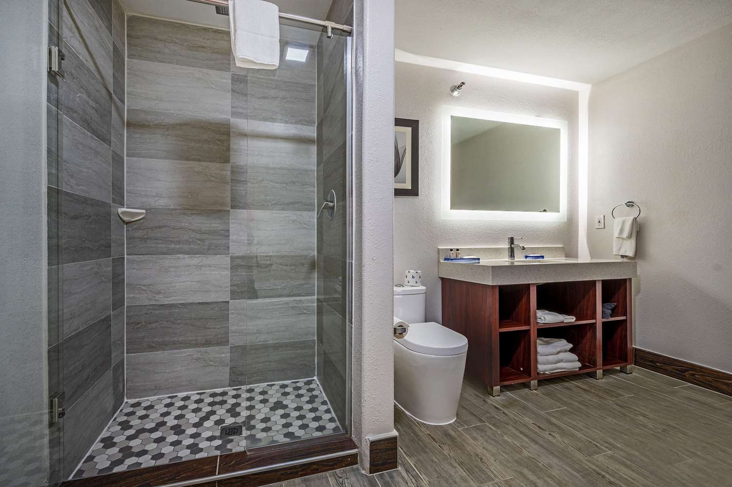 the leo collection detroit ascend hotel collection