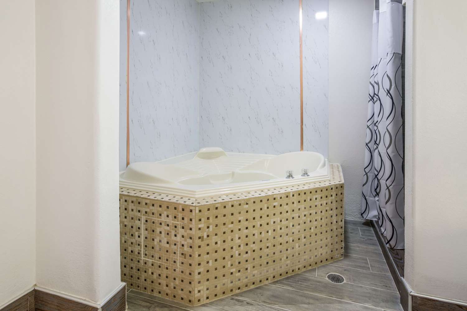the leo collection detroit ascend hotel collection