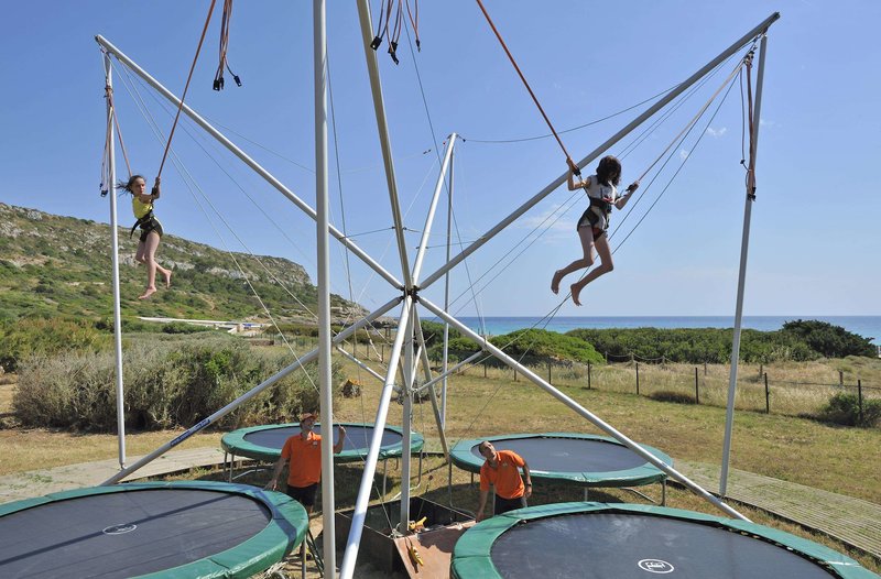 sol milanos pinguinos