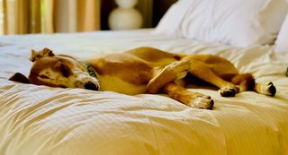 Sonesta Simply Suites Fort Worth,Tarrant County>>Fort Worth,3 star