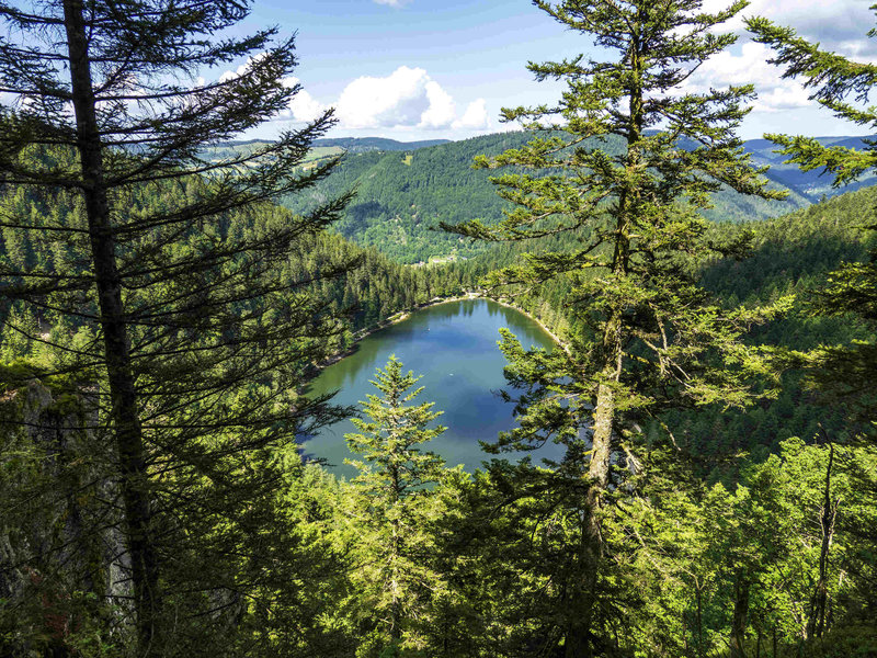 ibis saint die des vosges