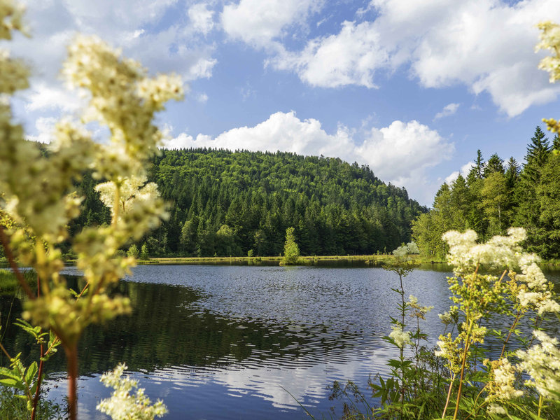ibis saint die des vosges