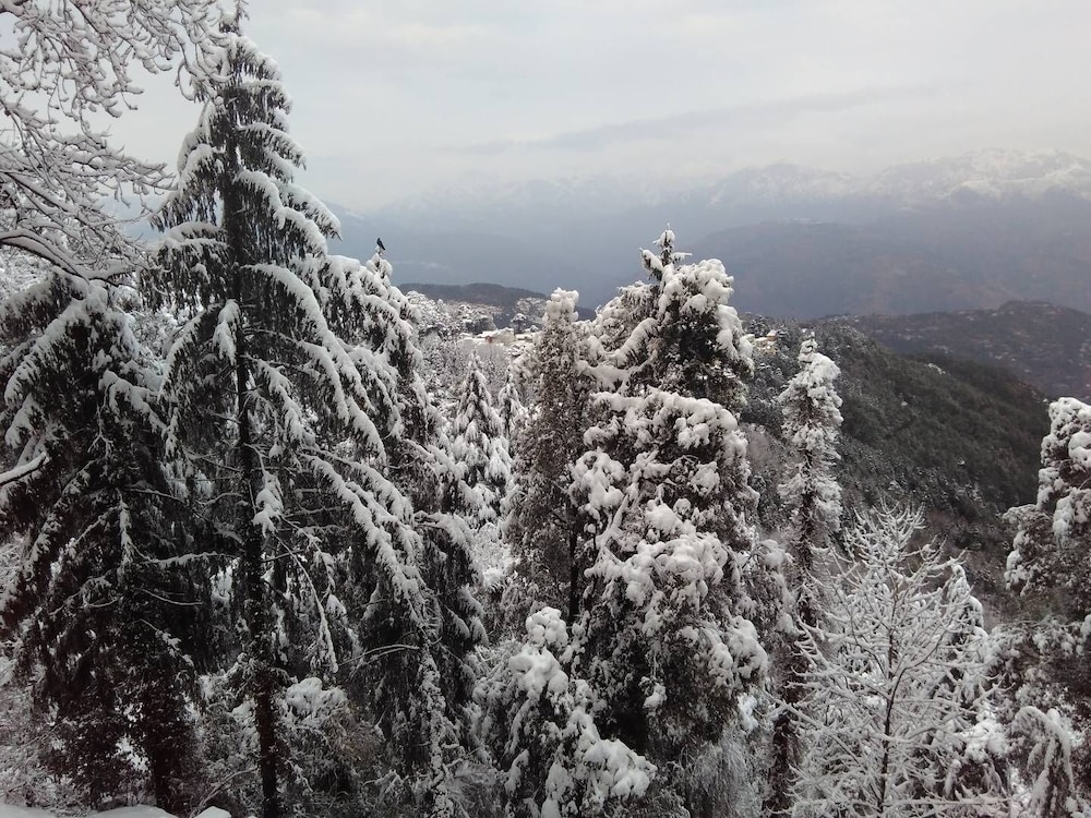 aaroham by aamod dharamshala