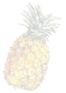 harbor base pineapple inn