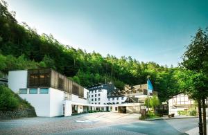 Hotel Zugbruecke Grenzau,Hoehr-Grenzhausen>>Andernach,4 star