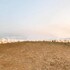 pushkar karni camp