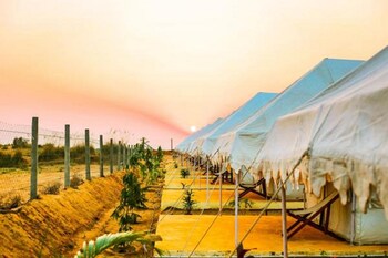 pushkar karni camp