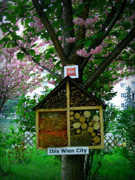 ibis wien city