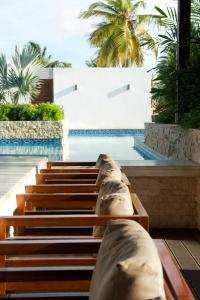 trupial hotel and casino