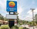 comfort inn and suites midtown