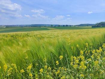 Holiday Inn Calais-Coquelles By Ihg,Coquelles>>Calais,4 star