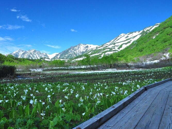 unplan village hakuba