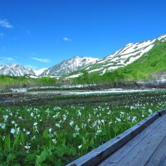 unplan village hakuba