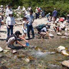 unplan village hakuba