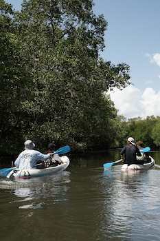 potato head suites and studios chse certified