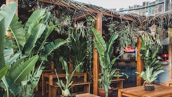 potato head suites and studios chse certified