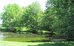 best western brockport inn and suites