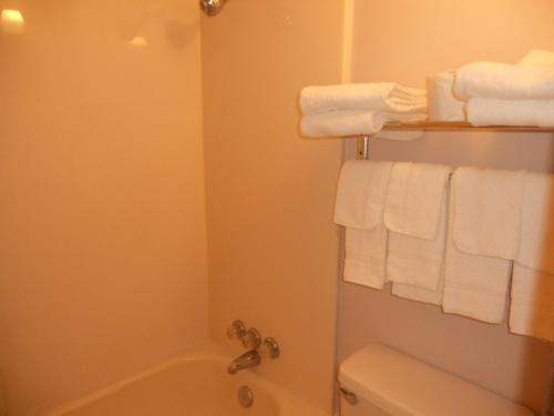 rapids inn and suites