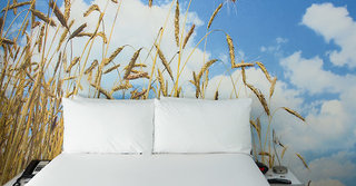 The Penguin Hotel,Miami>>Florida,4 star