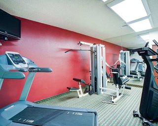 quality inn and suites airport