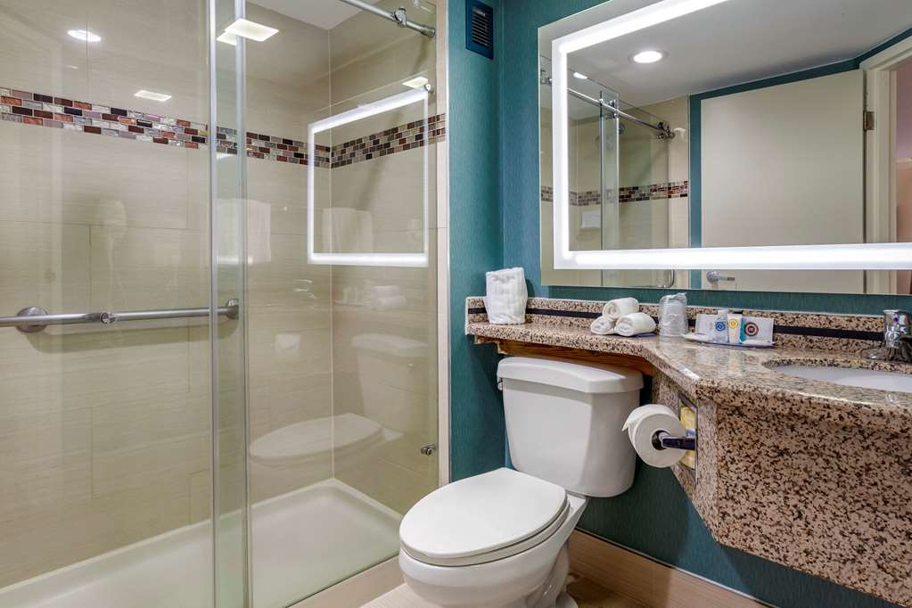 comfort inn and suites houston i 10 west energy corridor