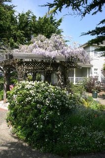 The Mendocino Hotel And Garden Suites,Mendocino>>Fort Bragg,3 star
